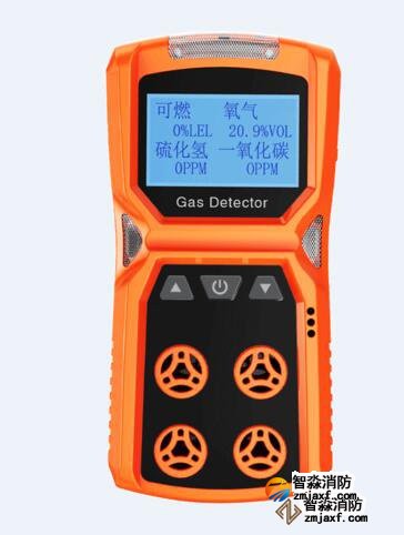 可燃性氣體檢測(cè)儀